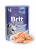 BRIT PREMIUM Cat Delicate - Aliment en gelée pour chats au saumon (85g)