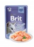 BRIT PREMIUM Cat Delicate - Aliment en gelée pour chats au saumon 85 g DLUO 16/08/2019