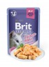 BRIT PREMIUM Cat Delicate - Aliment en gelée pour chats au saumon 85 g DLUO 16/08/2019