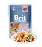 BRIT PREMIUM Cat Delicate - Aliment en gelée pour chats au saumon 85 g DLUO 16/08/2019