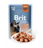 BRIT PREMIUM Cat Delicate - Aliment en gelée pour chats au saumon 85 g DLUO 16/08/2019