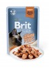 BRIT PREMIUM Cat Delicate - Aliment en gelée pour chats au saumon 85 g DLUO 16/08/2019