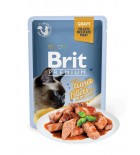 BRIT PREMIUM Cat Delicate - Aliment en gelée pour chats au saumon 85 g DLUO 16/08/2019