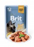 BRIT PREMIUM Cat Delicate - Aliment en gelée pour chats au saumon 85 g DLUO 16/08/2019