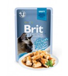 BRIT PREMIUM Cat Delicate - Aliment en gel&eacute;e pour chats au saumon 85 g DLUO 16/08/2019