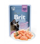 BRIT PREMIUM Cat Delicate - Aliment en gel&eacute;e pour chats au saumon 85 g DLUO 16/08/2019