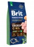 BRIT PREMIUM by Nature - Junior XL (sac abîmé) 15 kg