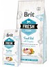 BRIT FRESH Chien adulte grande race, Poisson et citrouille 12KG (DLUO 03/11/2020)