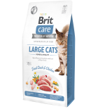 BRIT CARE CAT Fresh Meat - Large cat, chats de grande taille