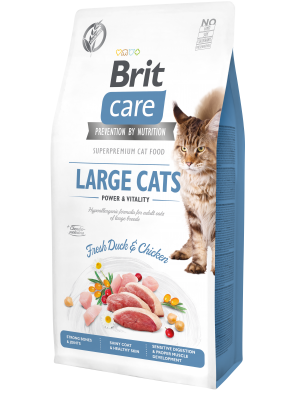 BRIT CARE CAT Fresh Meat - Large cat, chats de grande taille