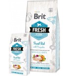 BRIT FRESH Chien adulte grande race, Poisson et citrouille 12kg sac abîmé