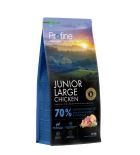 Junior Large Breed