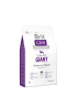 BRIT CARE Grain Free Giant Salmon & Potato