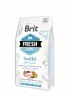 BRIT FRESH Chien adulte de grande race - Poisson et citrouille