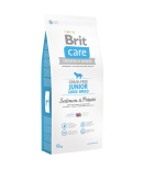 New Brit Care GrainFree - pour jeunes chiens de grandes races au saumon et à la pomme de terre