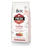 BRIT FRESH Chiot et jeune chien de grande race - Bœuf et citrouille