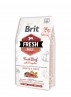 BRIT FRESH Chiot et jeune chien de grande race - Bœuf et citrouille