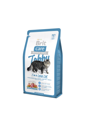 BRIT CARE CAT Tobby, chats de grande taille