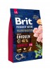 BRIT PREMIUM by Nature - Senior L+XL - 3 kg