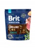 BRIT PREMIUM by Nature - Sensitive Lamb - 1 kg